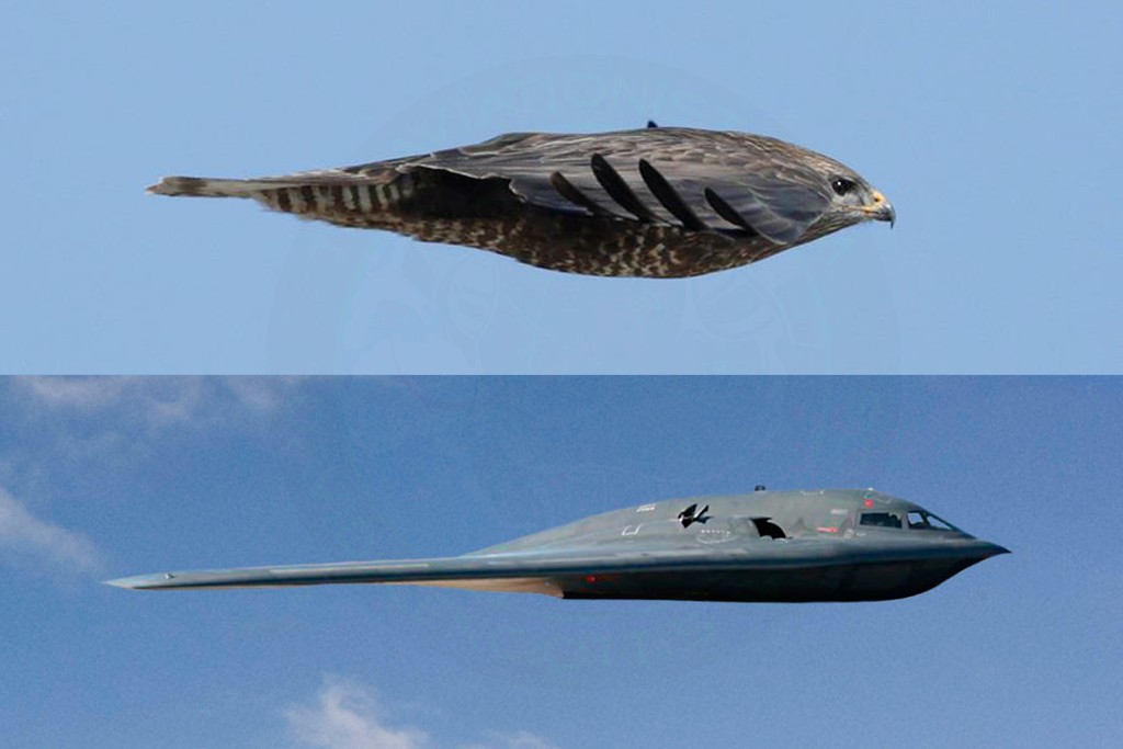 B-2 Spirit Bomber: The Most Feared Aircraft in the Sky