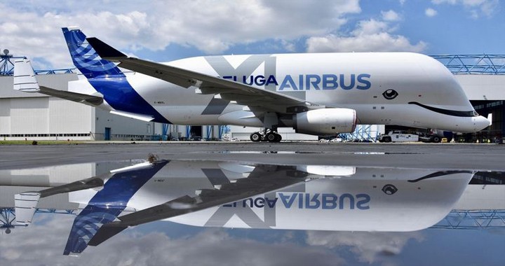 Watch: First flight of Airbus' BelugaXL " flying whale"