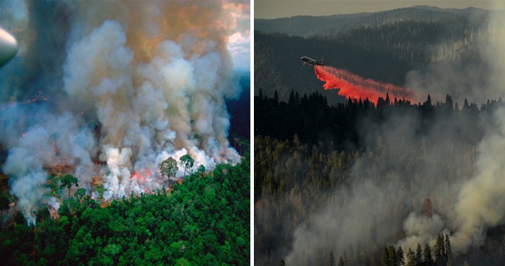 Amazon fires: Brazil To Deploy Military To Tackle Blazes As 747 Supertanker Arrives In Bolivia