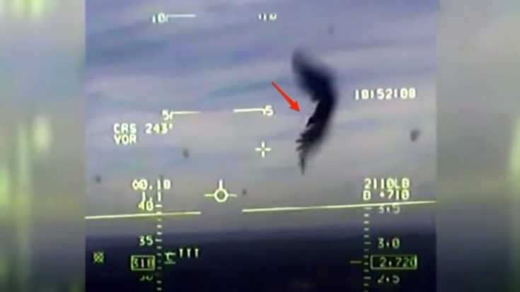 What Happens When A Vulture Hits A Fighter jet Flyng at 400MPH – Actual Footage
