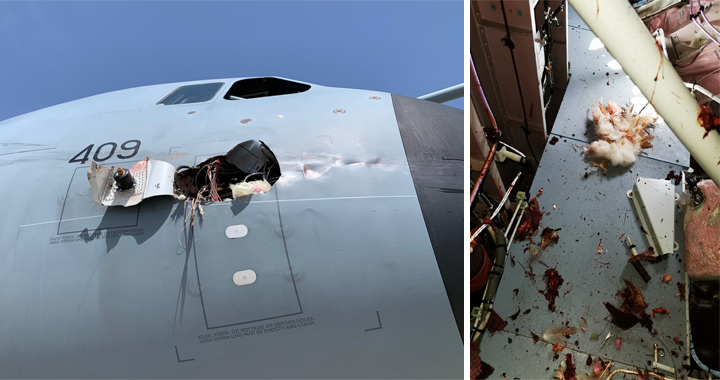 Royal Air Force Airbus A400M Atlas Suffered Bird Strike Causing Giant Hole Under Cockpit